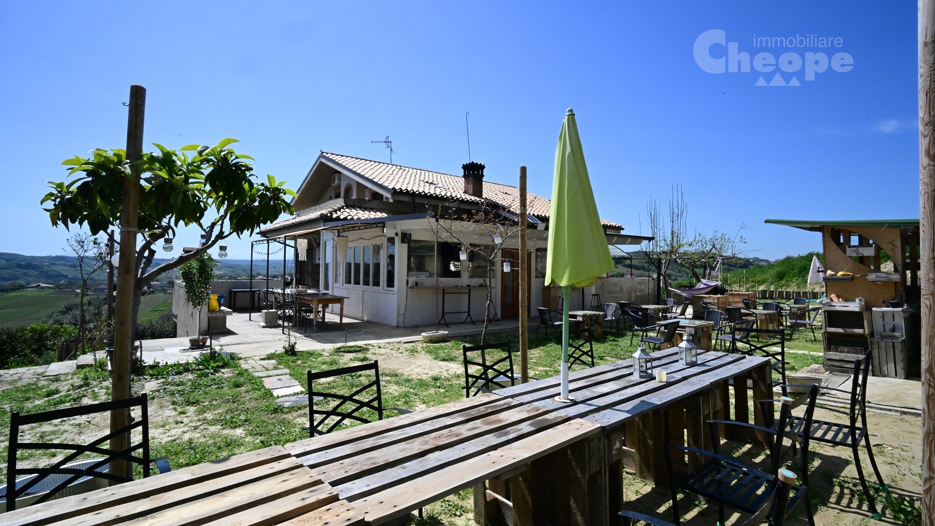 13.Tenuta Ornella.JPG